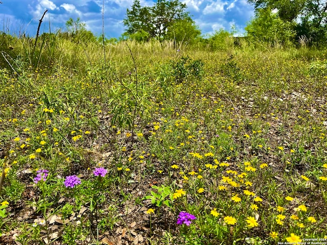 Listing photo 3 for LOT11 Enchanted River Dr, Bandera TX 78003