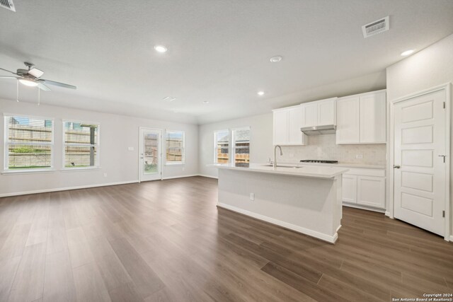 kitchen with a center island with sink, ceiling fan, dark hardwood / wood-style flooring, white cabinets, and sink