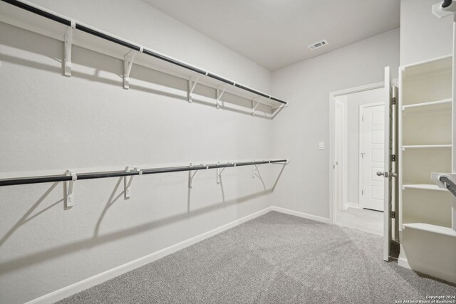 spacious closet with carpet flooring