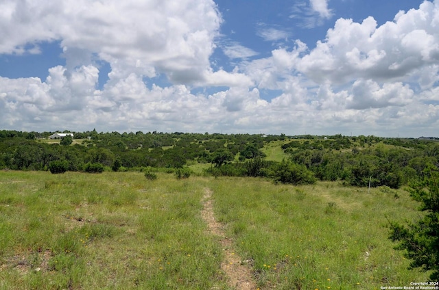 view of local wilderness