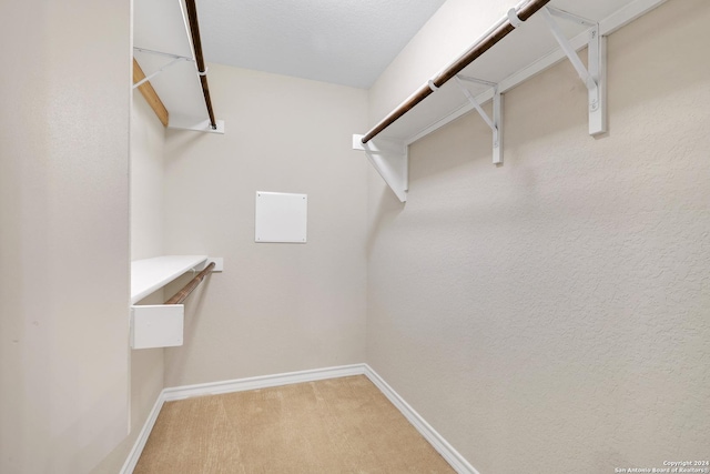 spacious closet featuring carpet flooring