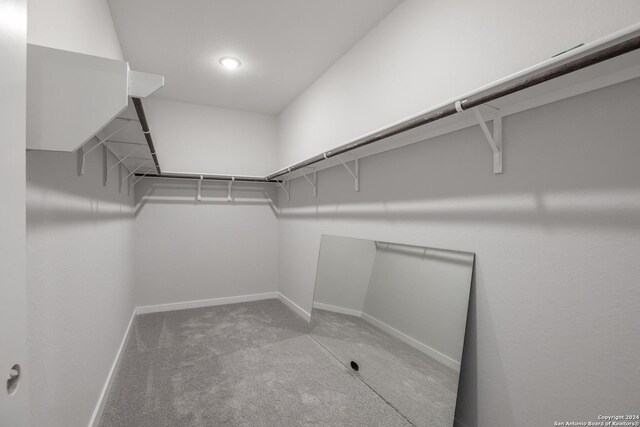 spacious closet featuring light colored carpet