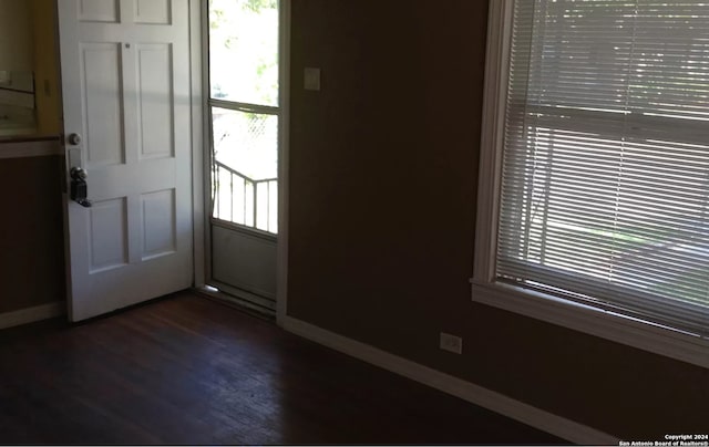 foyer entrance featuring a wealth of natural light and dark wood-type flooring