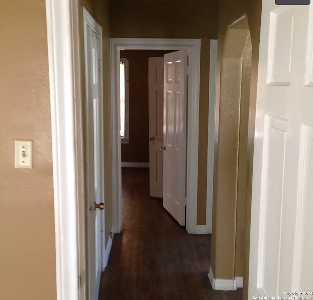 hallway with dark wood-type flooring