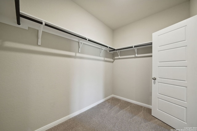 spacious closet featuring carpet floors