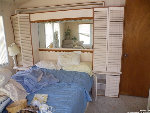 carpeted bedroom featuring multiple windows