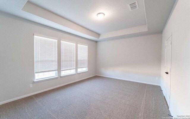 empty room featuring a tray ceiling and carpet floors