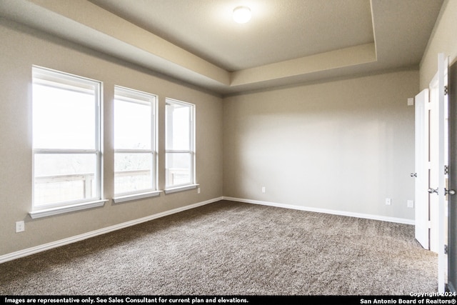 carpeted empty room with a raised ceiling