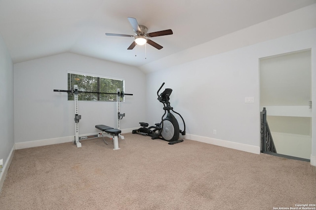 exercise area featuring ceiling fan, carpet floors, and vaulted ceiling