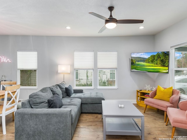 living room with ceiling fan and light hardwood / wood-style floors