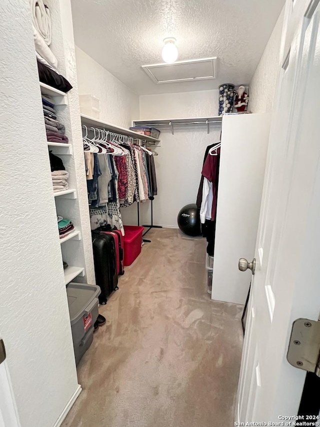 spacious closet with light colored carpet