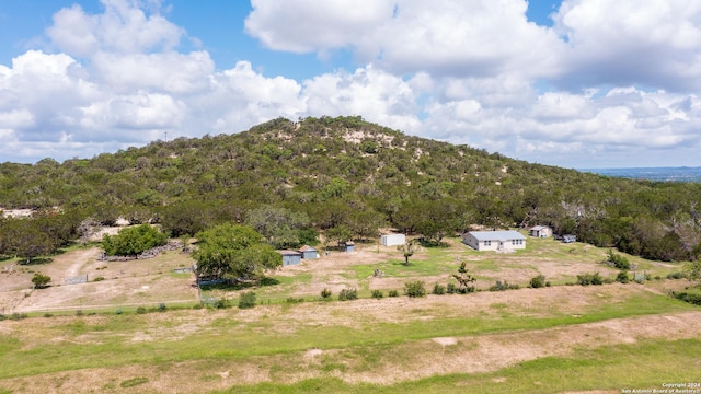 birds eye view of property with a view of trees