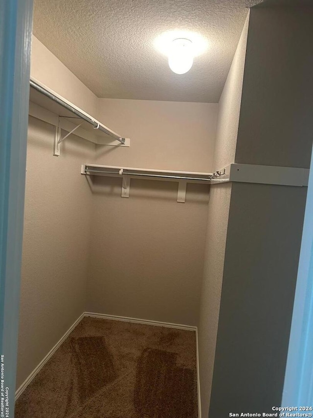 walk in closet featuring carpet flooring