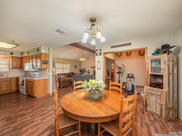 dining room with ceiling fan with notable chandelier, a healthy amount of sunlight, and dark hardwood / wood-style flooring