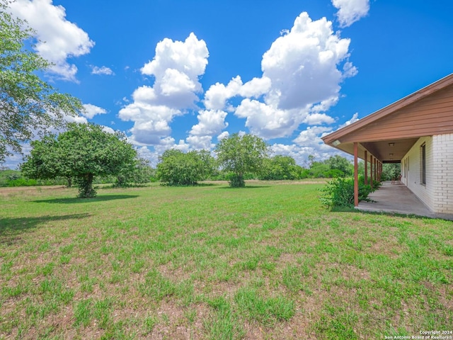 view of yard featuring a patio