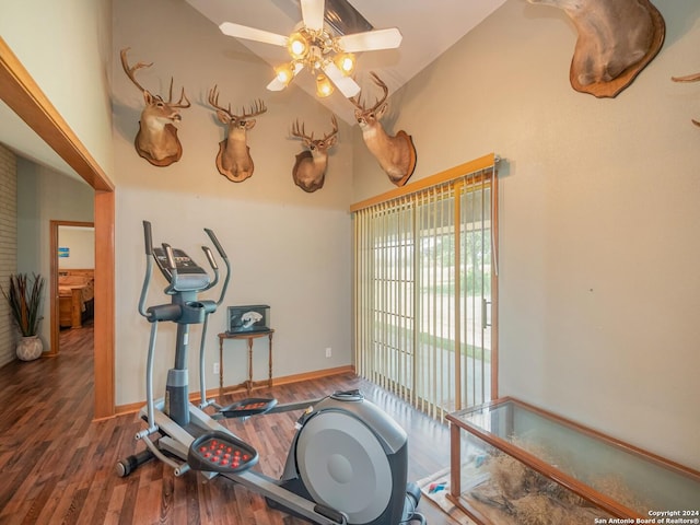 exercise area with ceiling fan, high vaulted ceiling, and dark wood-type flooring