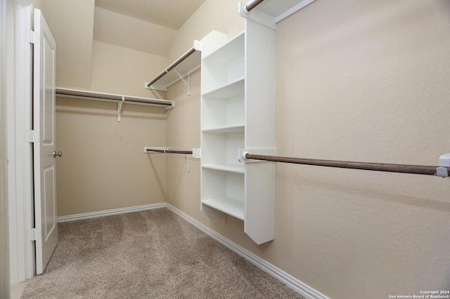 walk in closet with light carpet