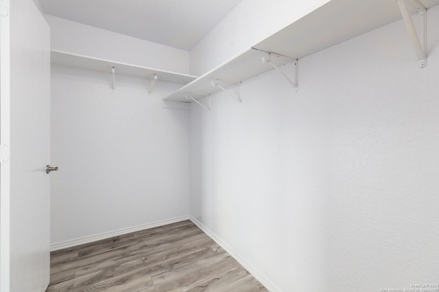 walk in closet with wood-type flooring