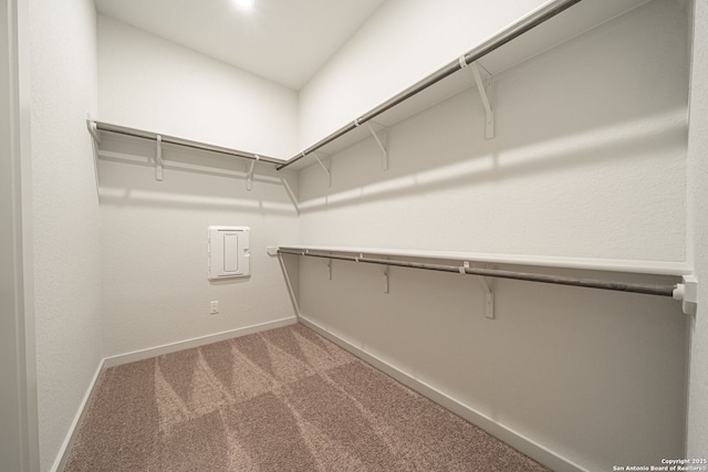 10286 Bartenheim Dr, Schertz, TX 78154 - walk in closet featuring light colored carpet and electric panel