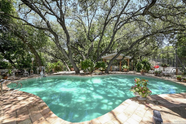 view of pool with a patio