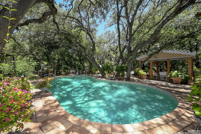 view of pool with a patio