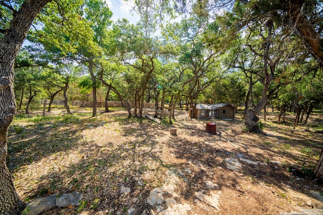 view of yard with an outbuilding