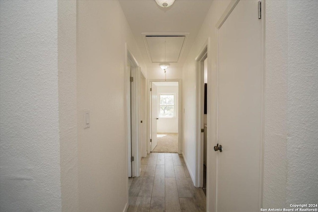 corridor with light wood-type flooring