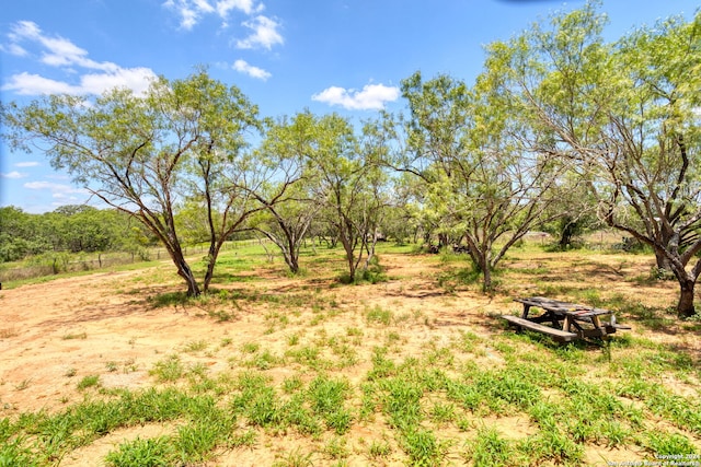 view of yard with a rural view