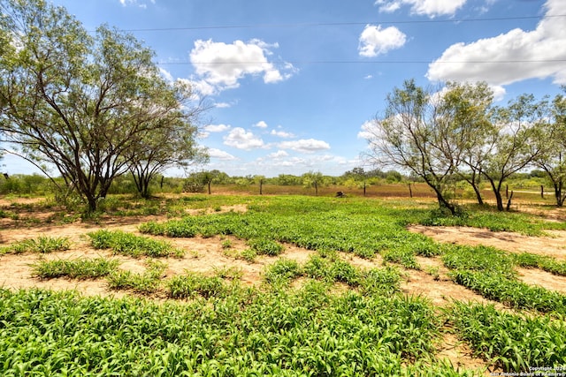 view of yard featuring a rural view