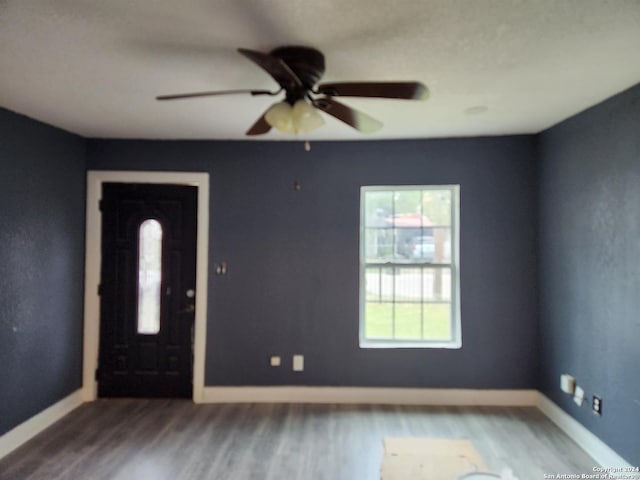 entrance foyer featuring ceiling fan and wood-type flooring