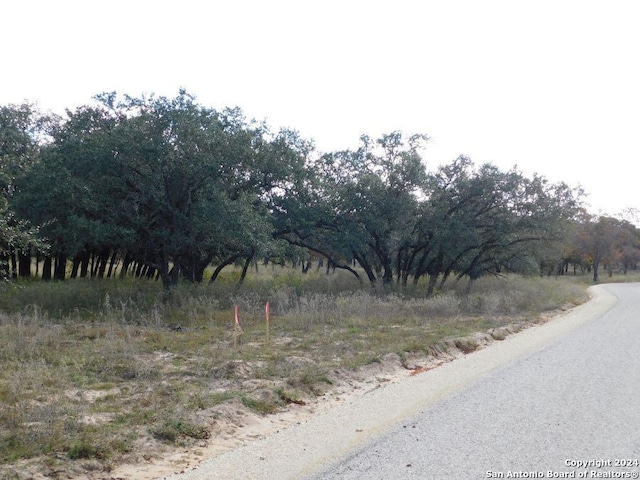 Listing photo 3 for TBD County Road 781, Natalia TX 78059