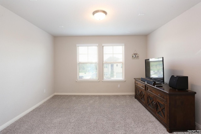 interior space with light colored carpet