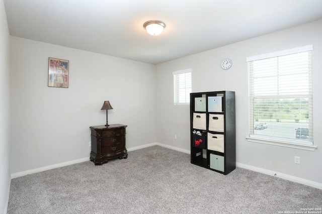 interior space with light colored carpet