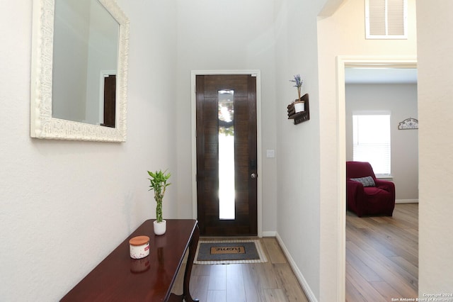 foyer entrance with wood-type flooring