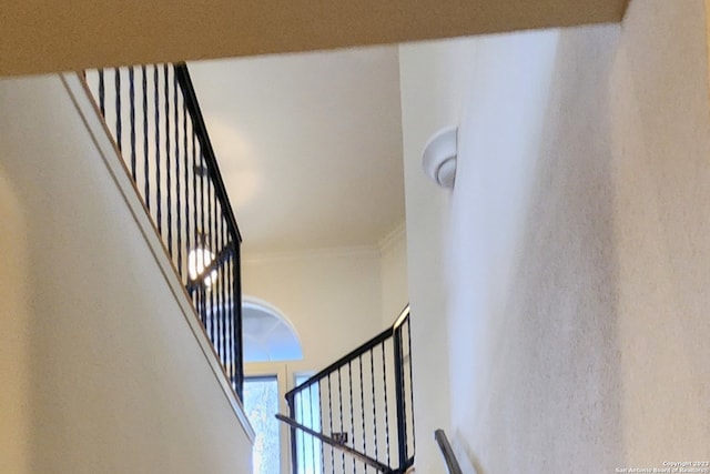 stairway featuring a high ceiling