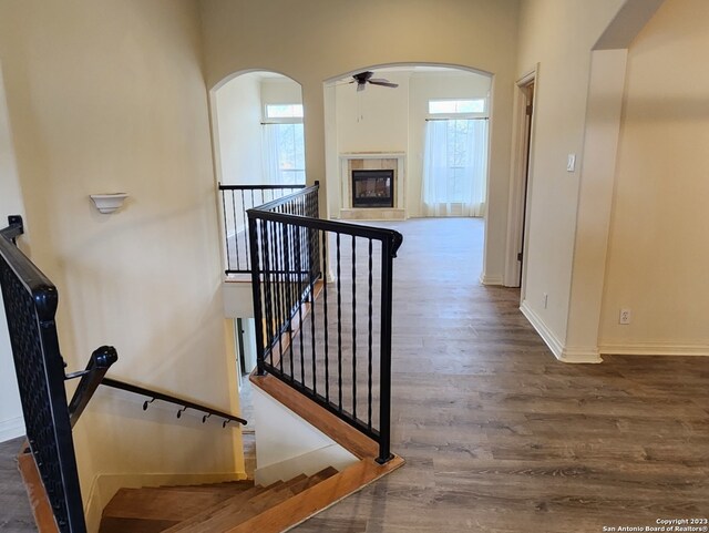 interior space featuring dark wood-type flooring