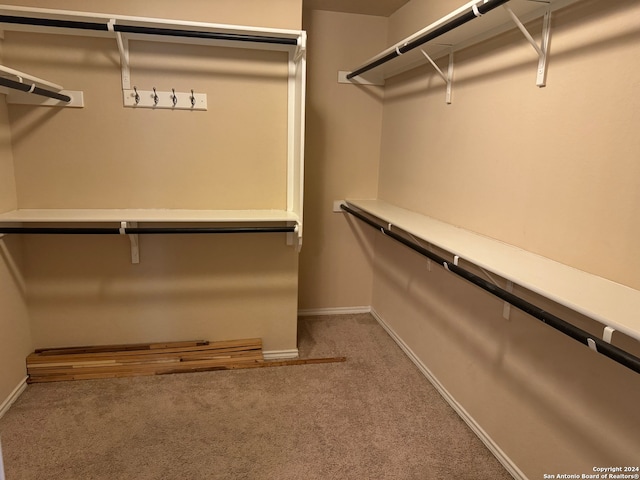 walk in closet featuring carpet