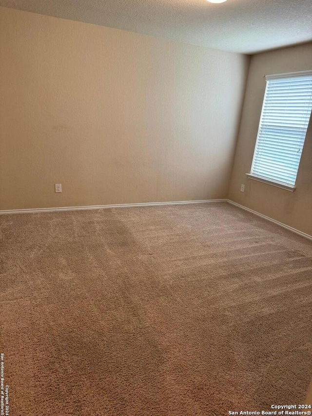 unfurnished room featuring carpet floors