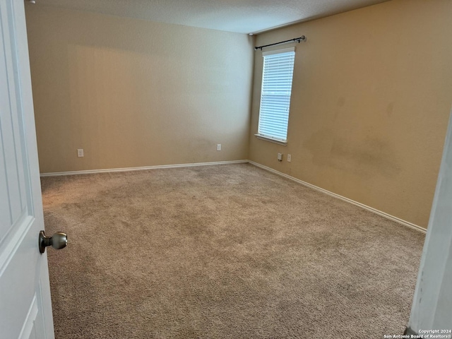 spare room with carpet