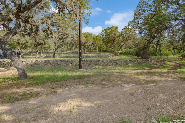 view of local wilderness