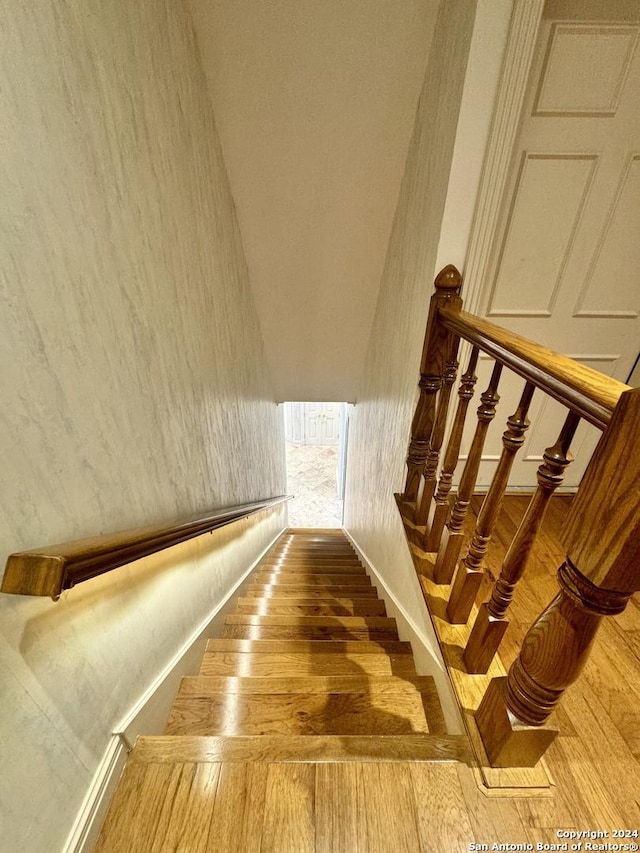 staircase with wood-type flooring