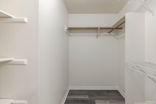 spacious closet featuring dark hardwood / wood-style flooring