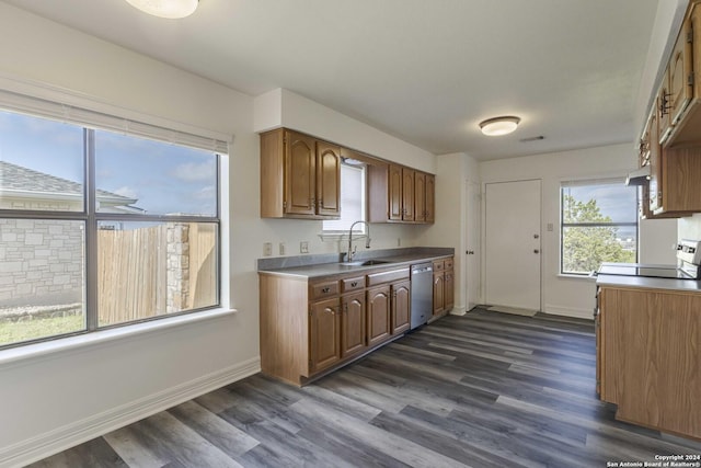 kitchen with stainless steel dishwasher, sink, dark wood-type flooring, and a wealth of natural light