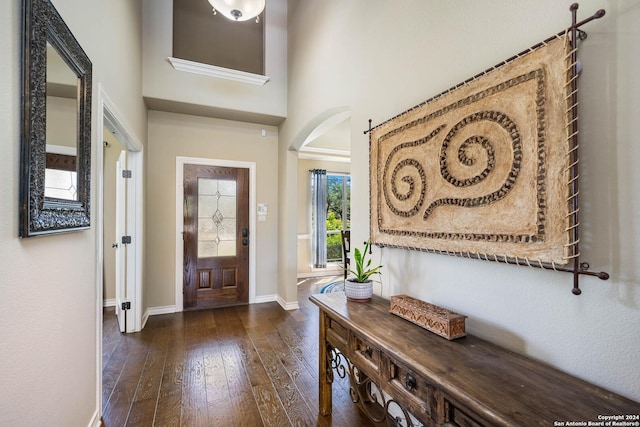 entrance foyer with dark hardwood / wood-style flooring and a high ceiling