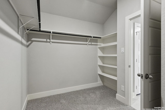 spacious closet with carpet floors