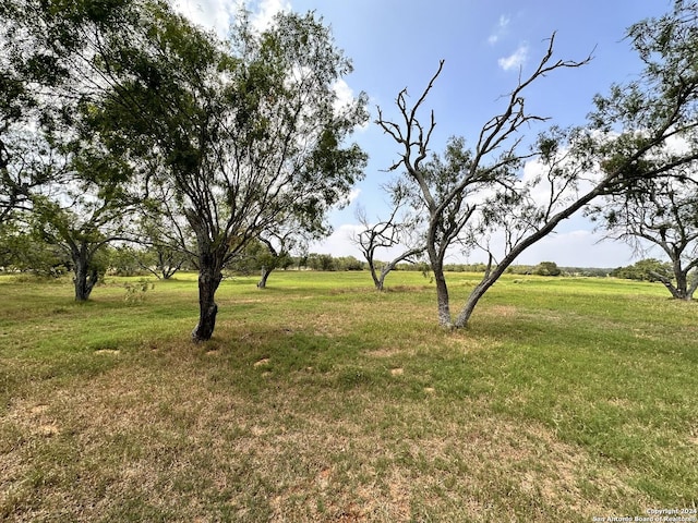 view of yard with a rural view