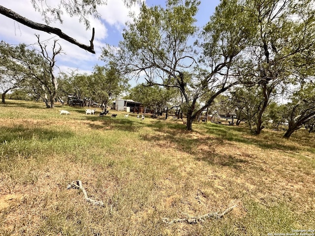 view of yard with a rural view