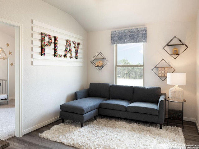 living room featuring lofted ceiling and wood-type flooring