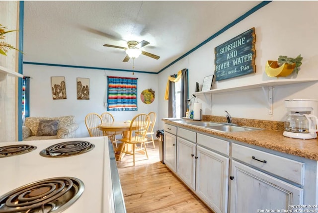 kitchen with a sink, white cabinetry, light countertops, open shelves, and light wood finished floors