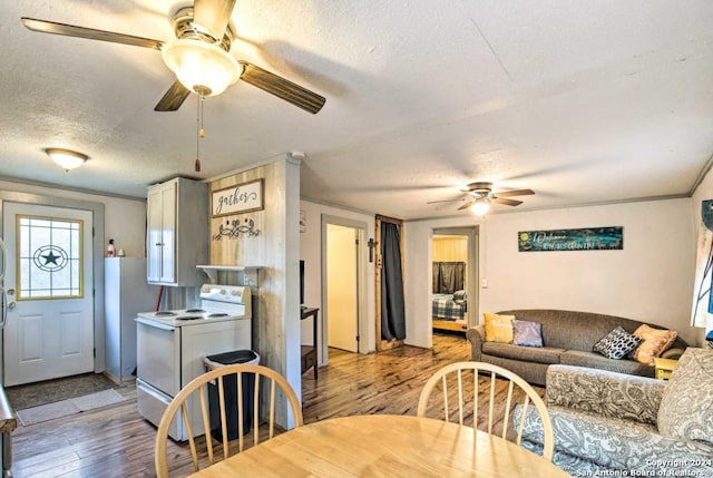 dining space with a textured ceiling, light wood finished floors, and a ceiling fan